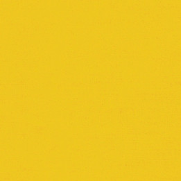 BUTTERCUP-Peppered Cotton-81 STUDIO E - 1