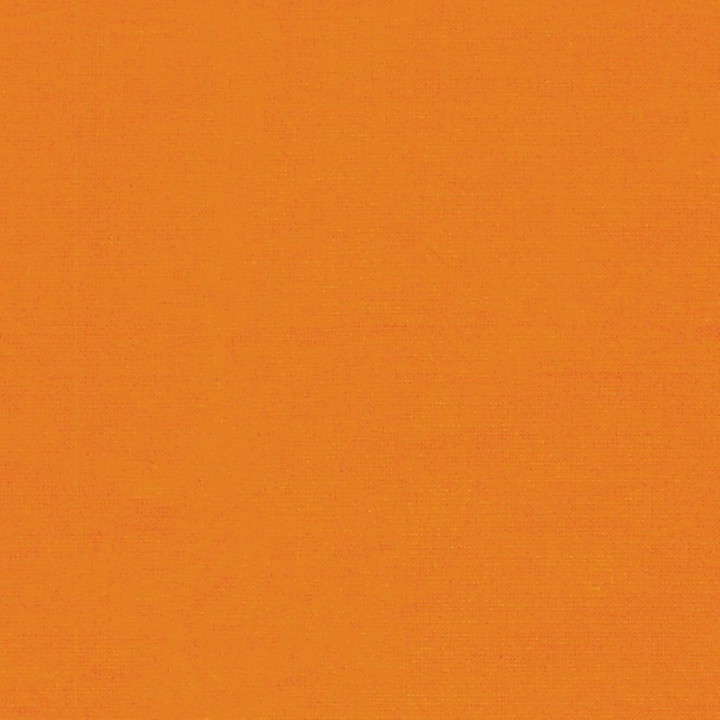 TRUE CHEDDAR-Peppered Cotton-36 STUDIO E - 1