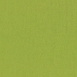 BRIGHT KIWI-Peppered Cotton-64 STUDIO E - 1