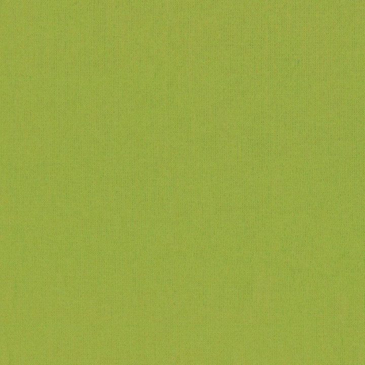 BRIGHT KIWI-Peppered Cotton-64 STUDIO E - 1