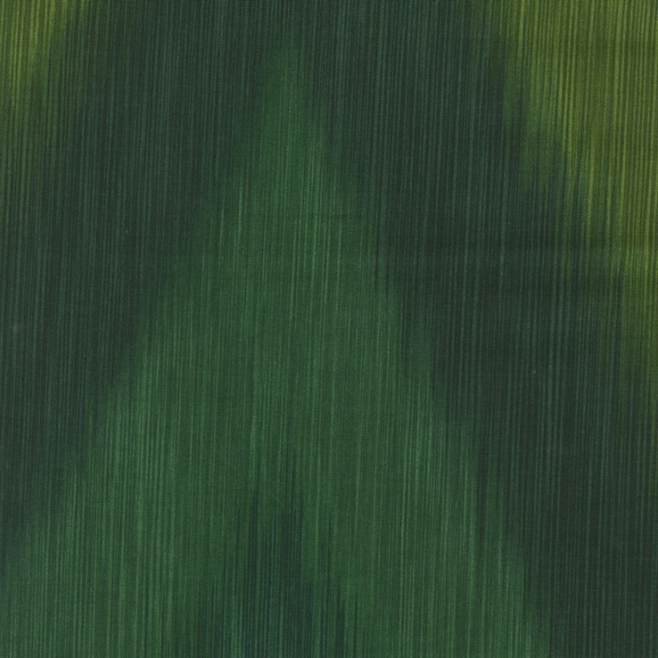 OMBRE LÁTKA -GREEM IKAT Timeless Treasures - 2