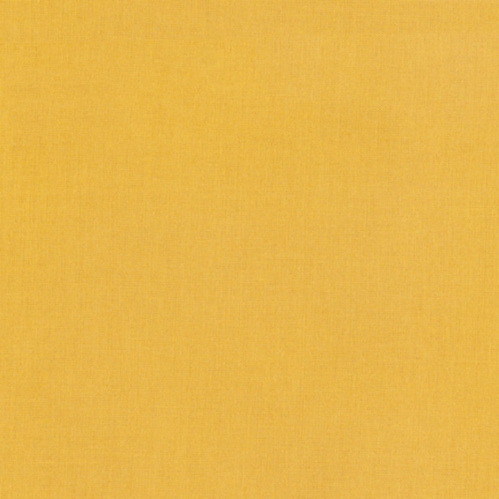 Kona cotton CURRY